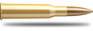 SB 7,62x54 R FMJ