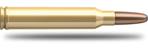 SB 7mm Rem. Mag. Exergy