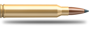 SB 7mm Rem. Mag. SBT