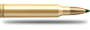 SB 7mm Rem. Mag. PTS