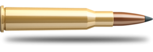 SB 7x57 SBT