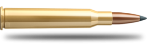 SB 7x65 R SBT