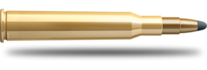 SB 7x65 R SPCE