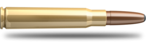 SB 8x57 JS Exergy